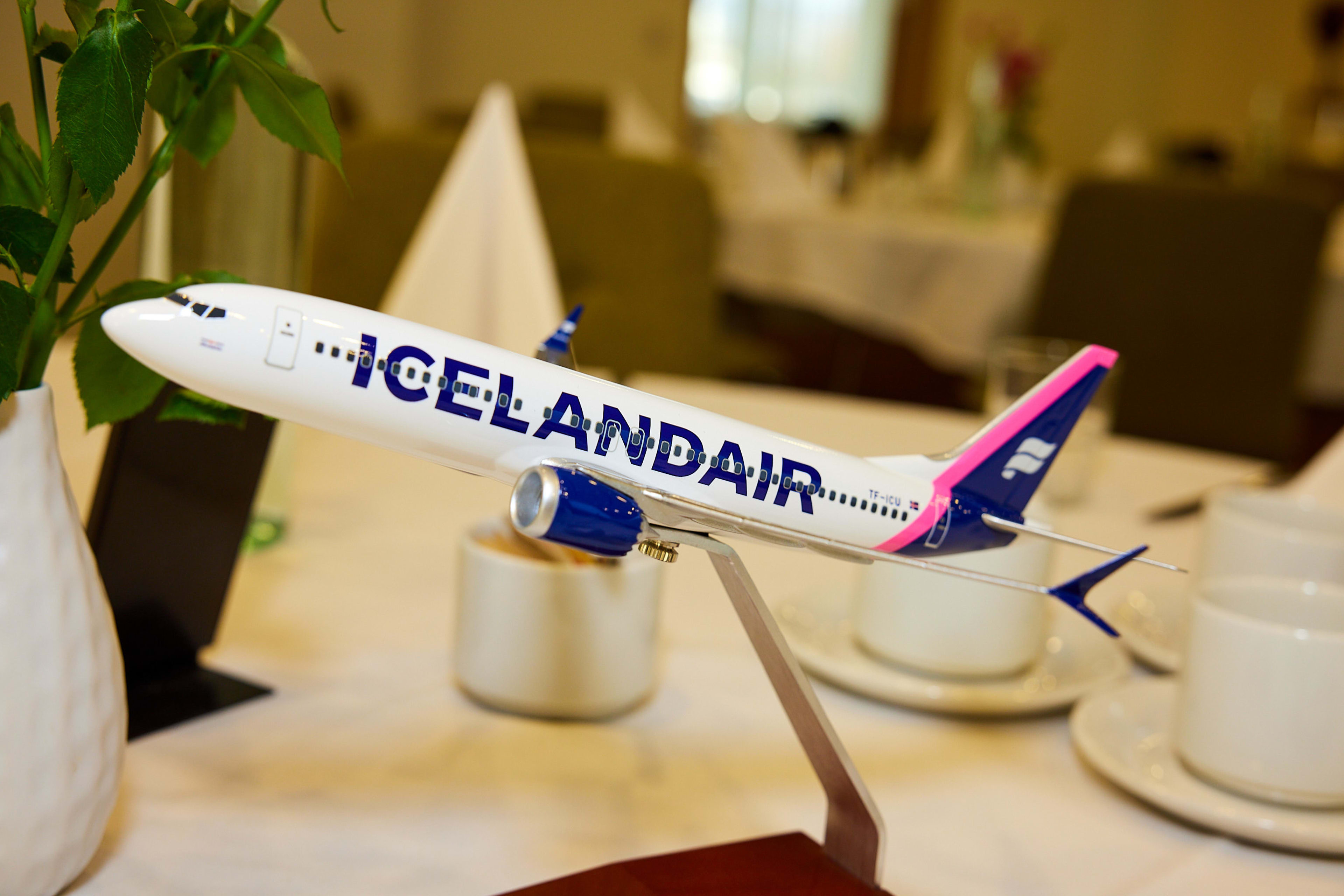 A miniature model of an Icelandair aircraft, in pink and dark blue brand colors.