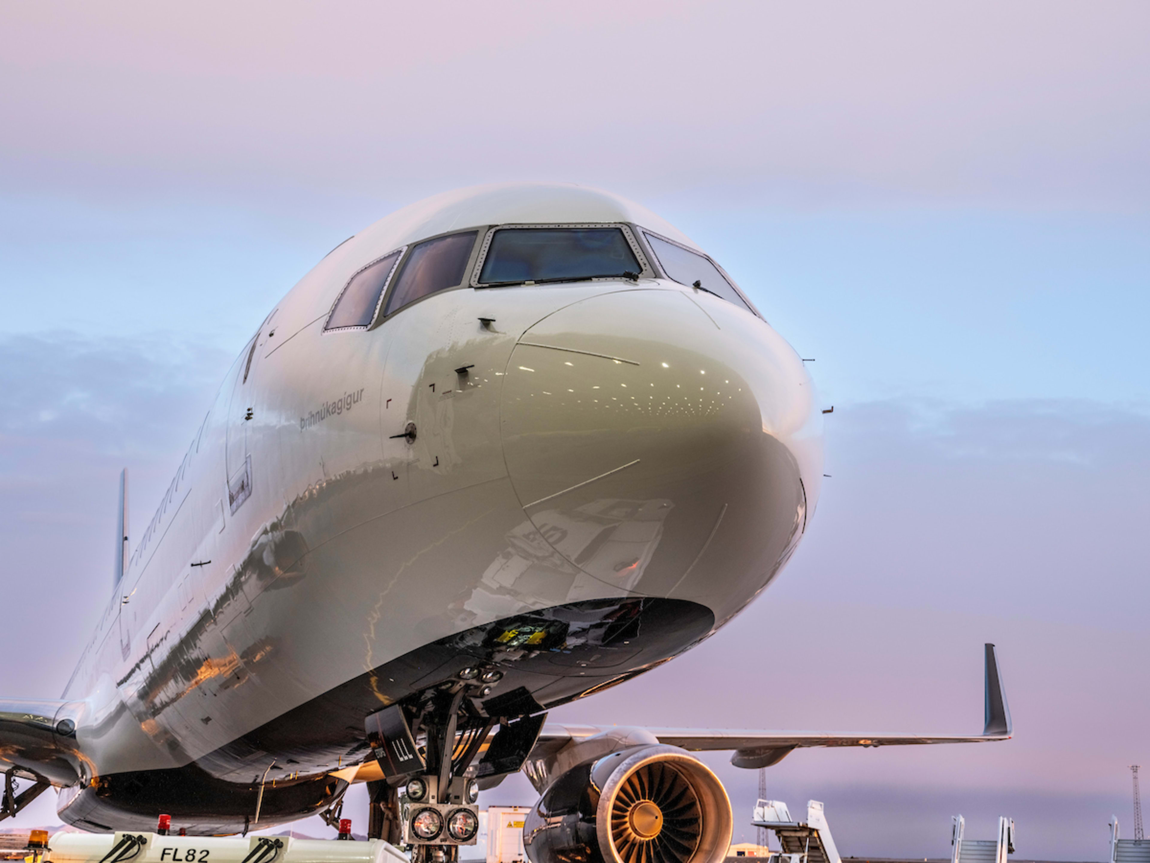 Boeing 757 VIP | Loftleiðir Icelandic
