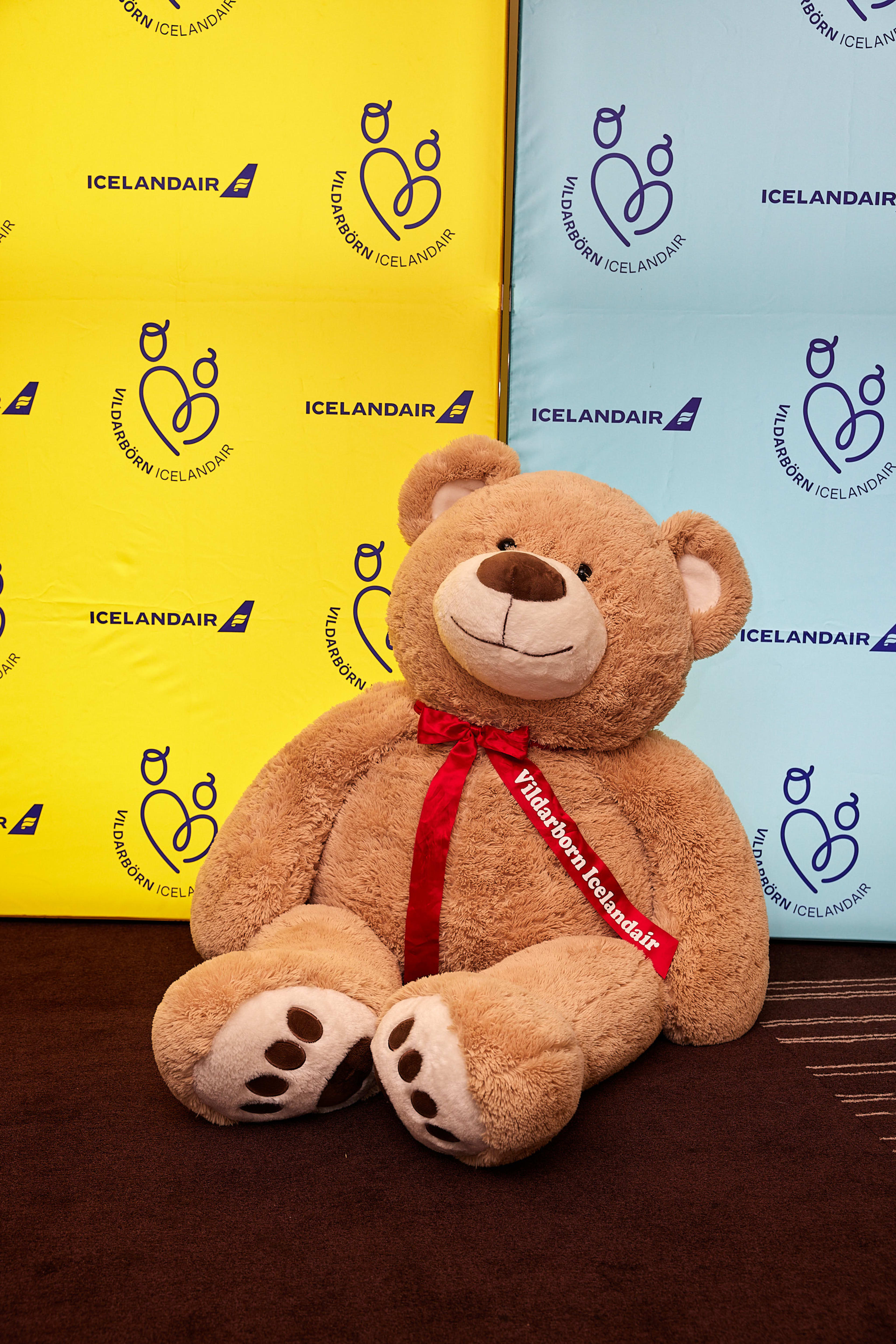 The Special Children Travel Fund teddy bear, a special mascot of the fund.