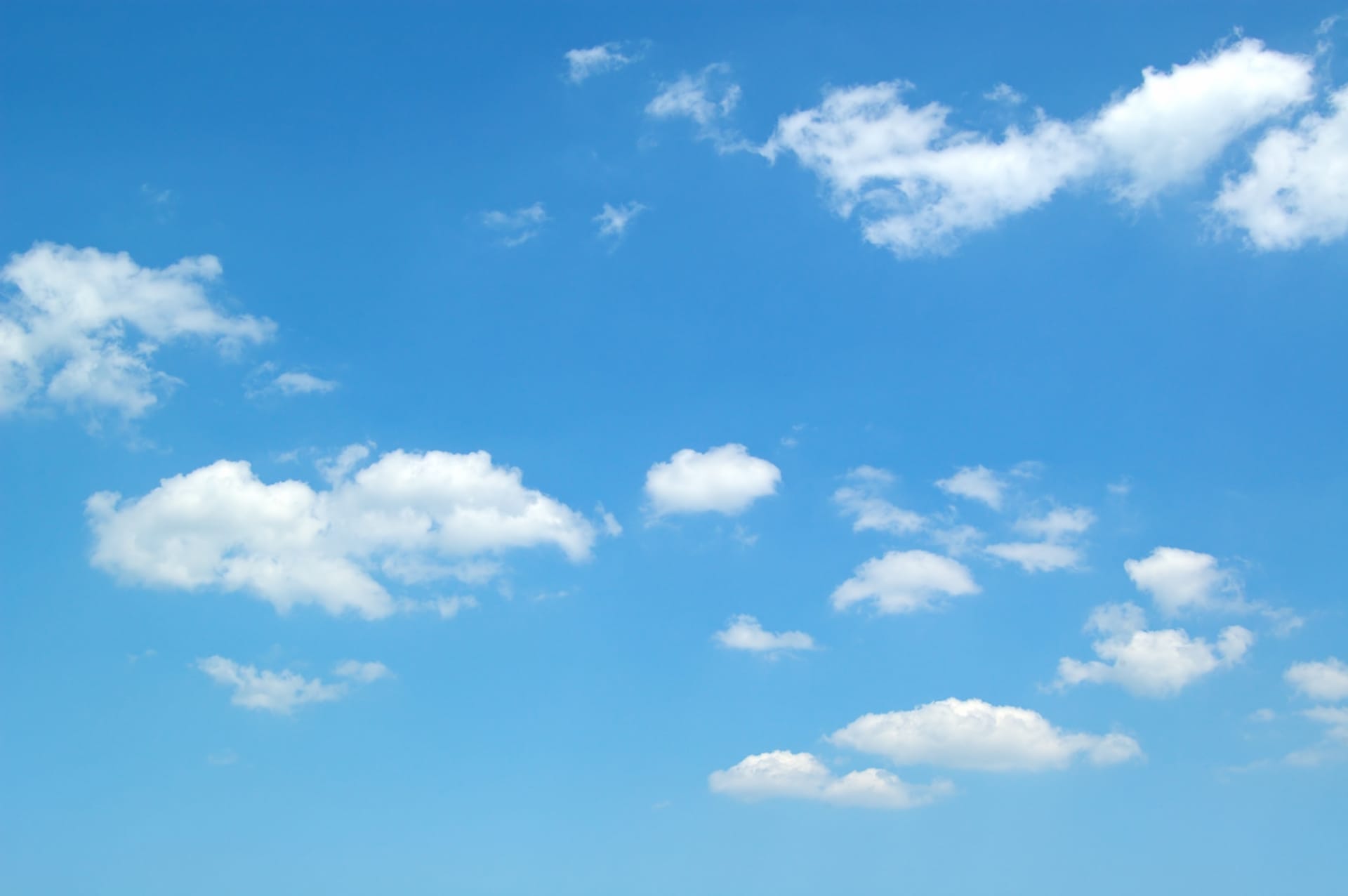 Team Private Flight Services Loftleiðir Icelandic