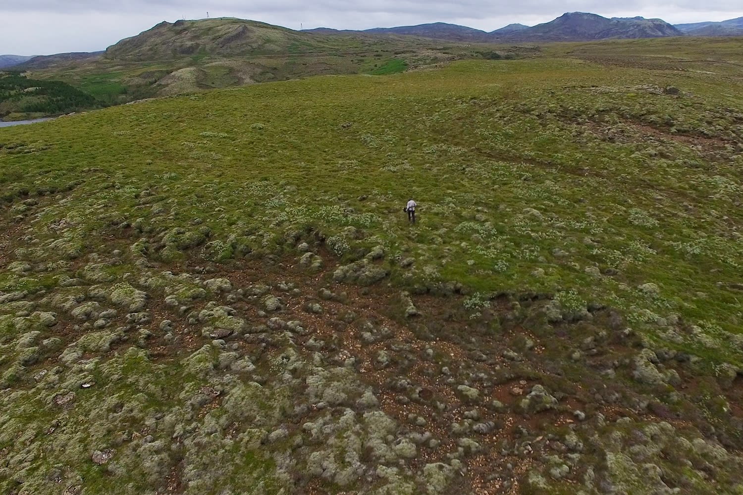 An aerial view of the Icelandic nature with somebody working to plant trees in the land