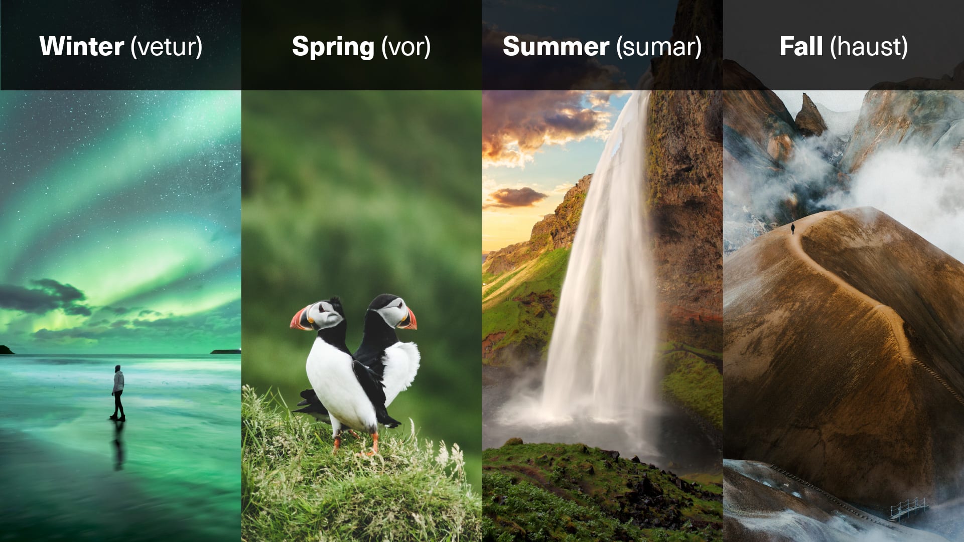 The four seasons in Iceland - winter, summer, spring and fall - displayed on an illustrative graphic image