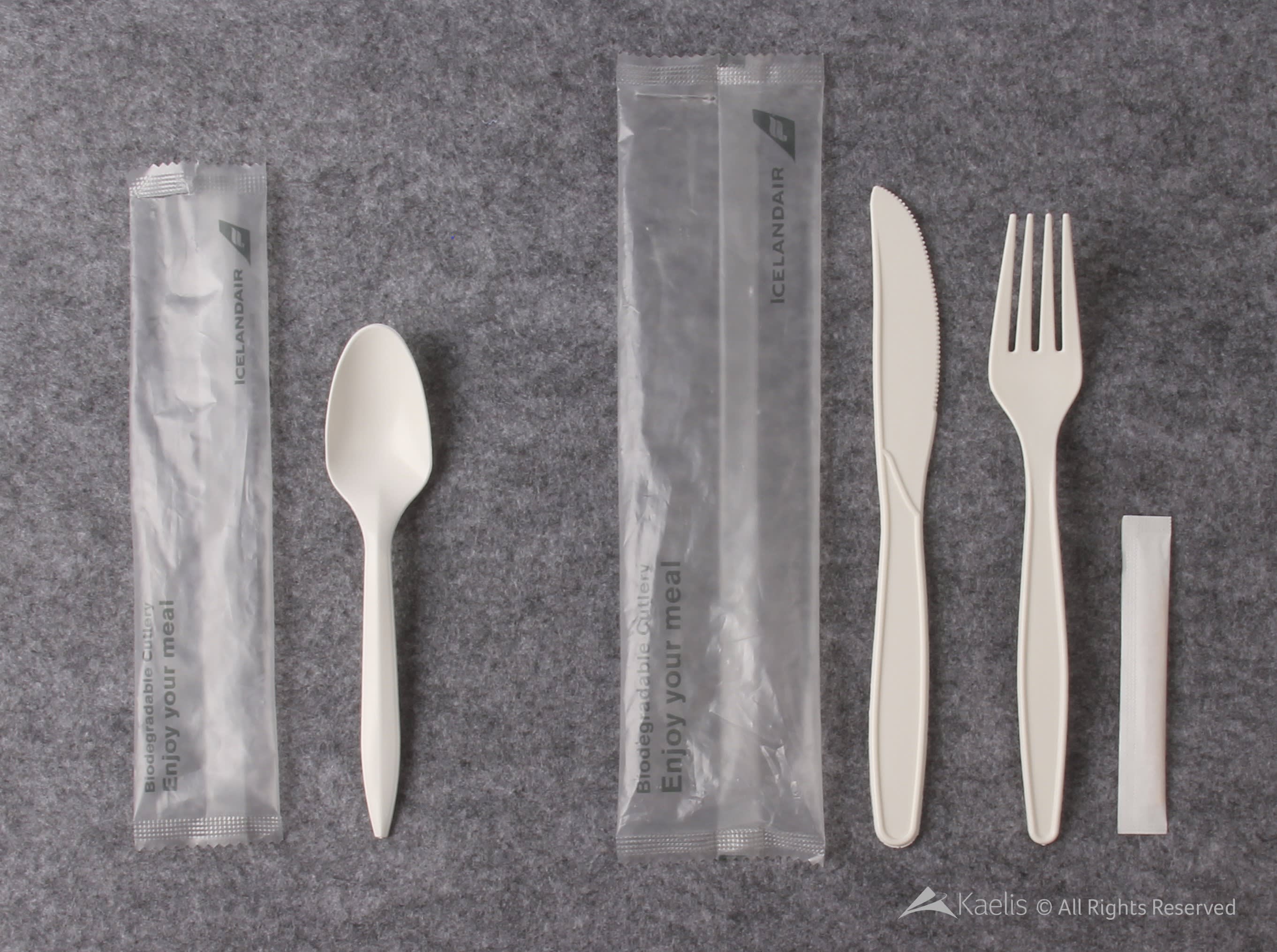 Icelandair onboard biodegradable cutlery - a spoon, fork, knife and toothpick - pictured against a grey background