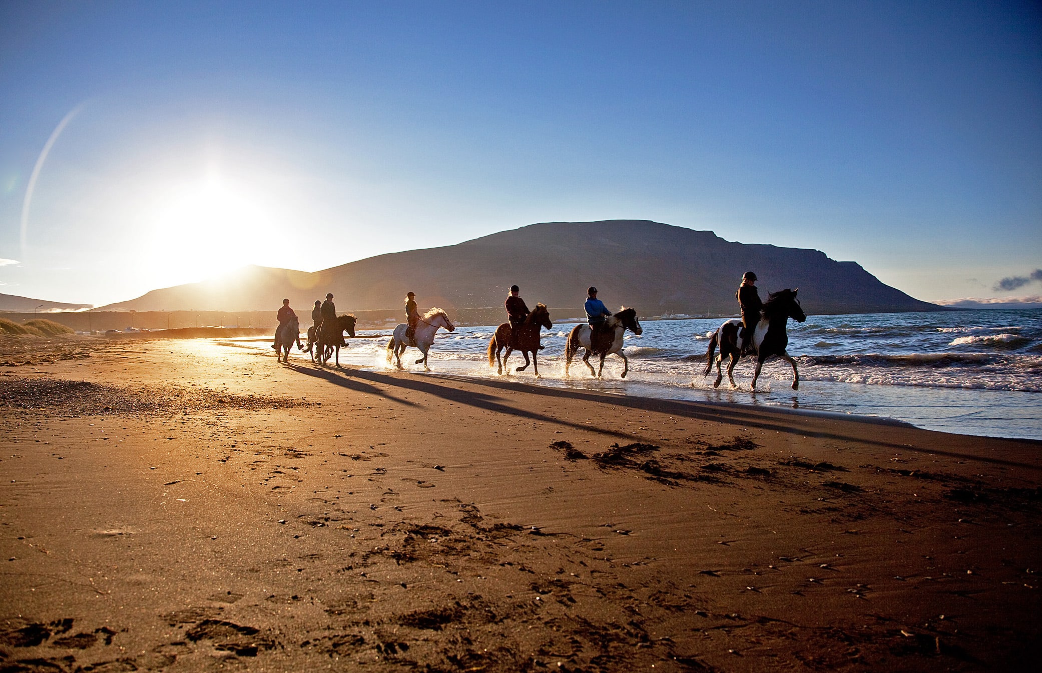 A group of 7 horses pictured trotting along one of Iceland's black sand beaches as the sun sets behind them