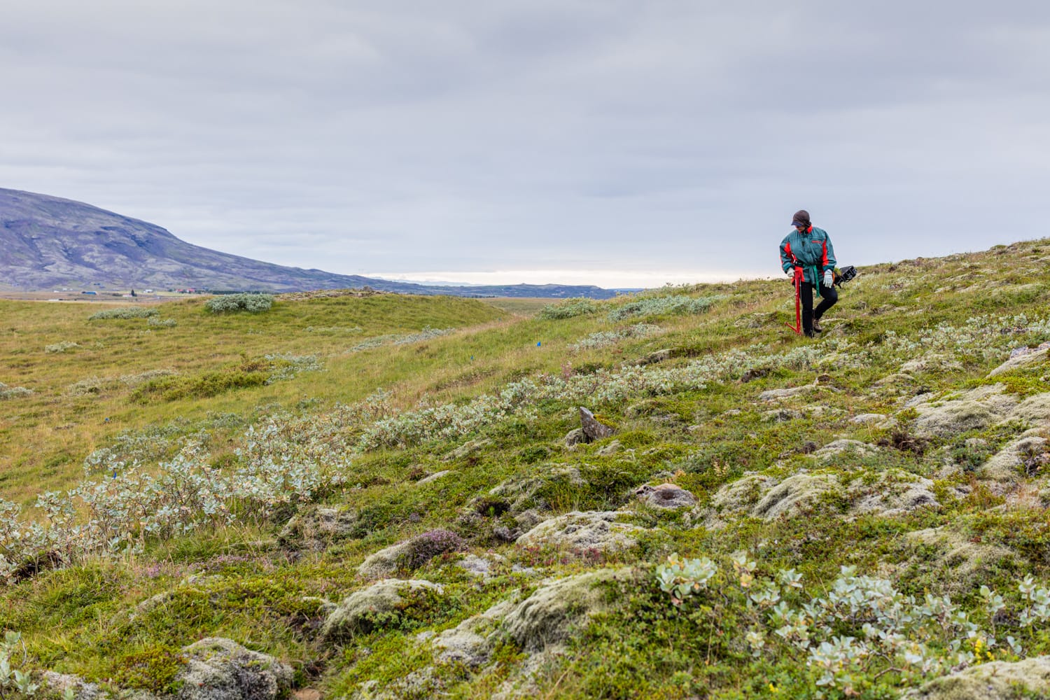 an individual wearing bright clothing walking through the mossy Icelandic nature
