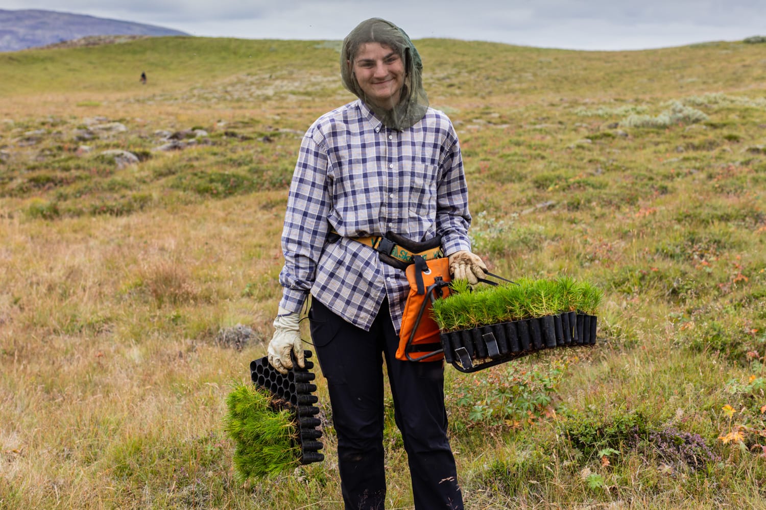 an image of a person wearing a checked shirt and holding the tree sprigs ready for planting