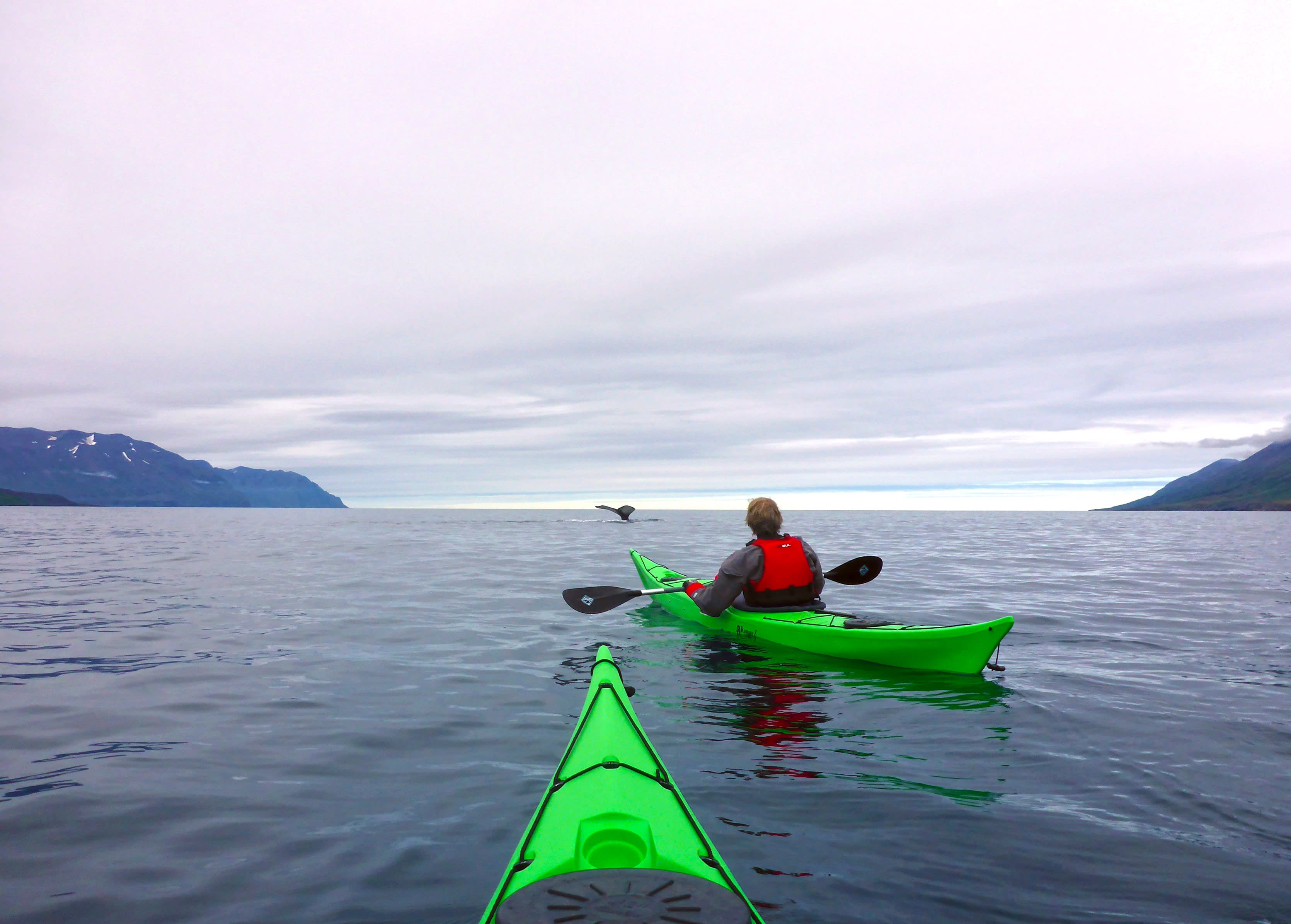 two people kayak in bright green kayaks in Iceland while watching the whales breach