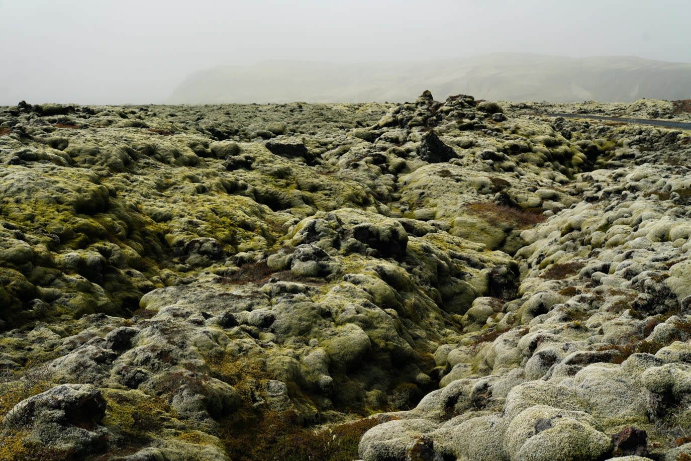 A view of the moss-covered volcanic landscape in Iceland