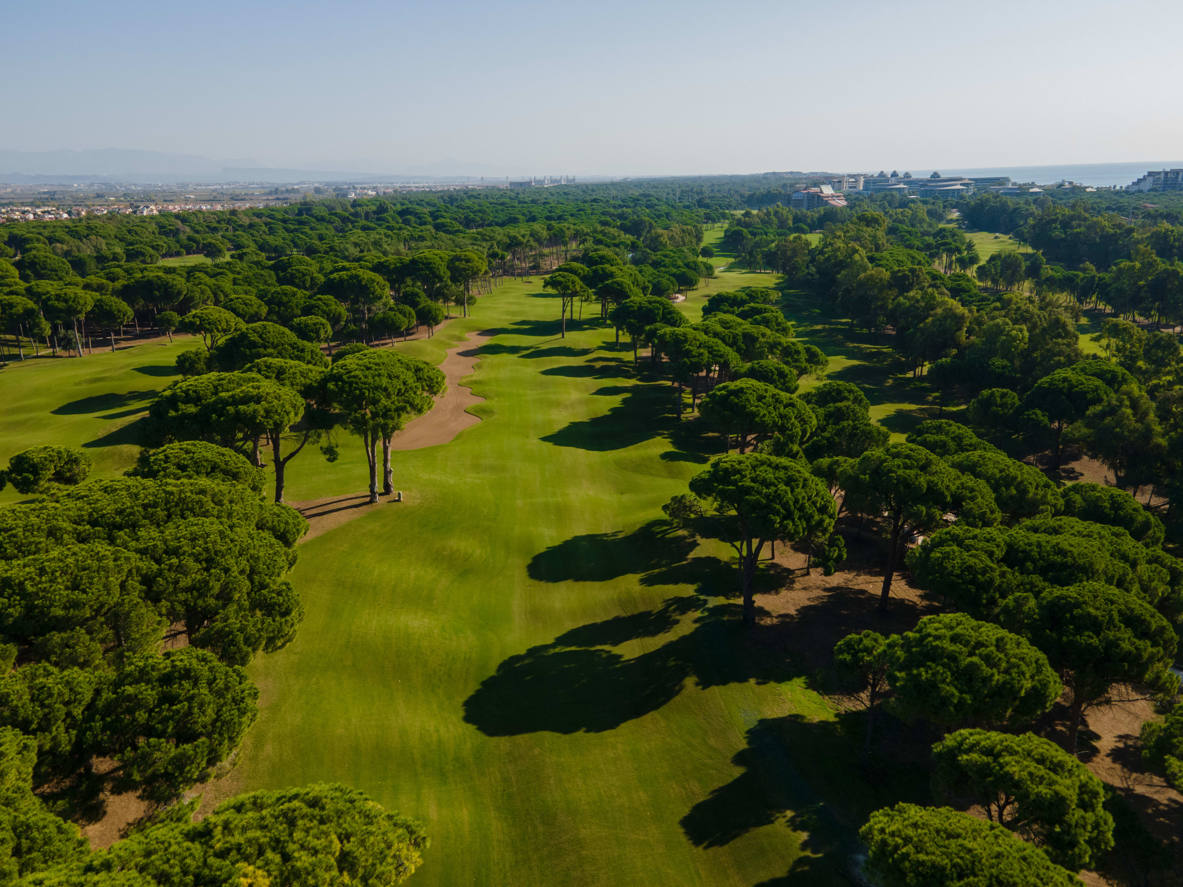 Sueno_golf (4)