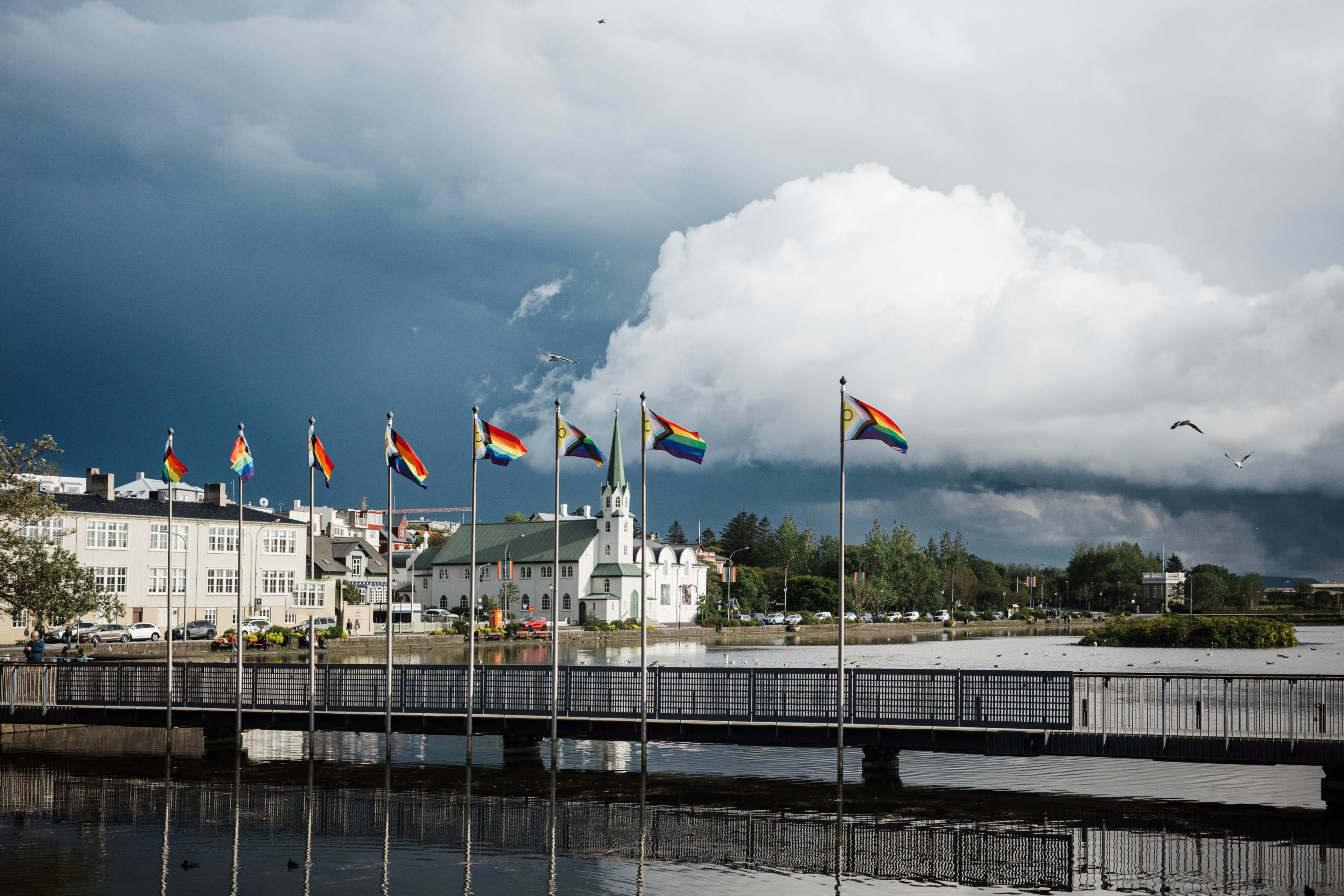 LGBTQ Queer Gay City Walk Pink Iceland Reykjavik 3