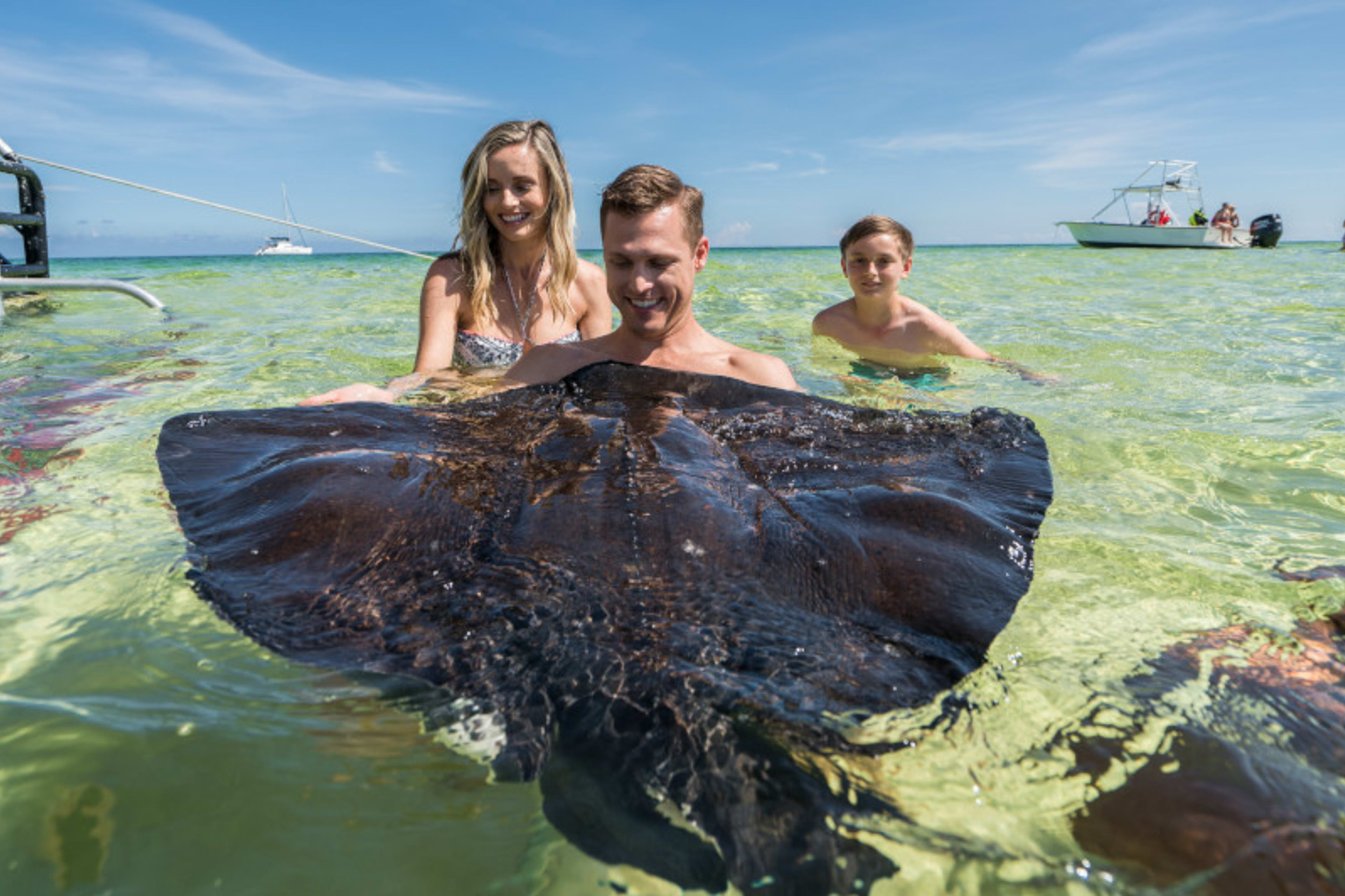 cel_george_town_stingray_sandbar_3