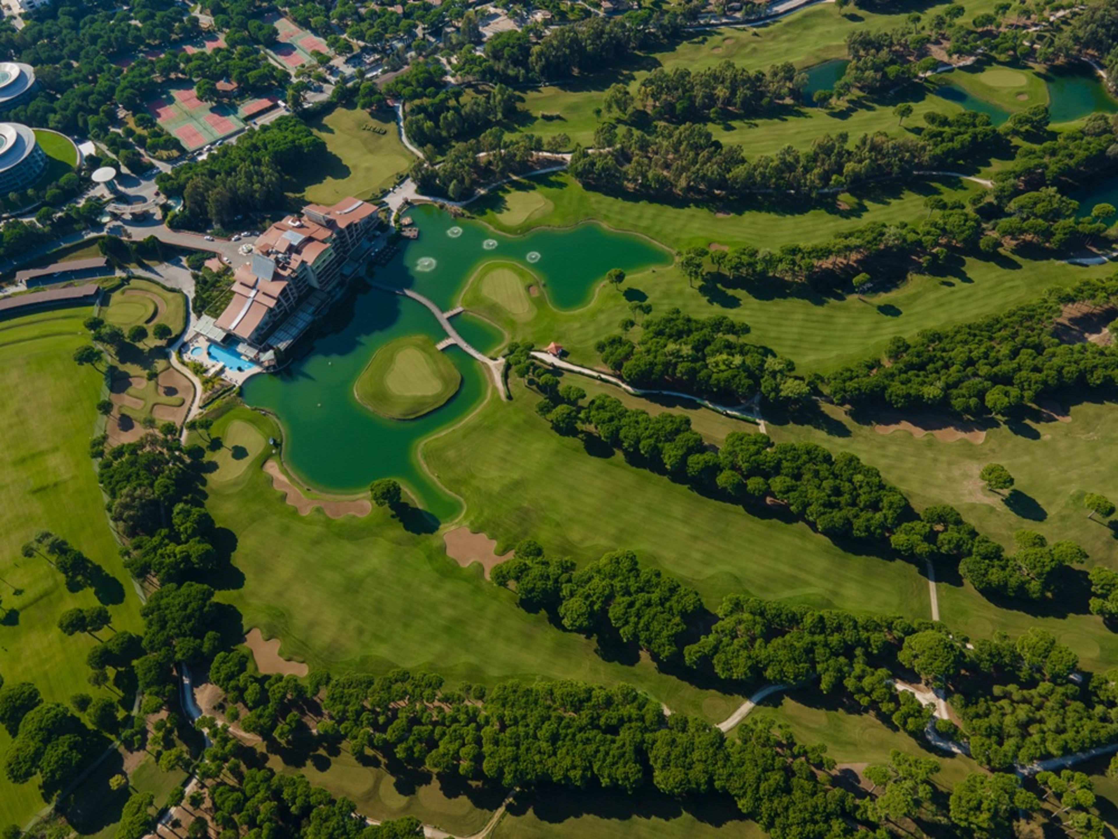 Sueno_golf (5)
