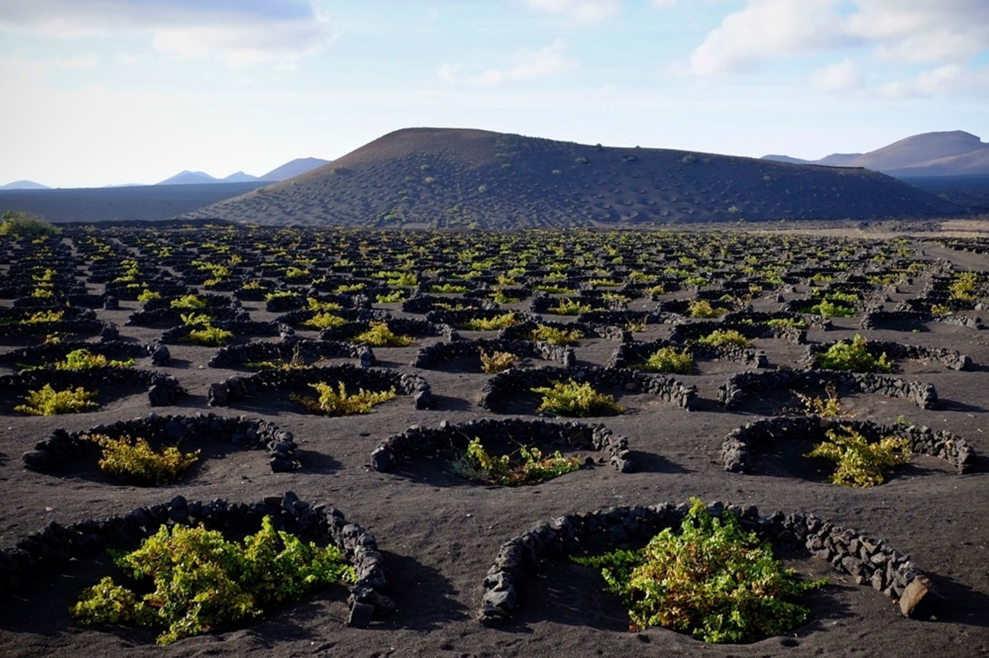 Lanzarote