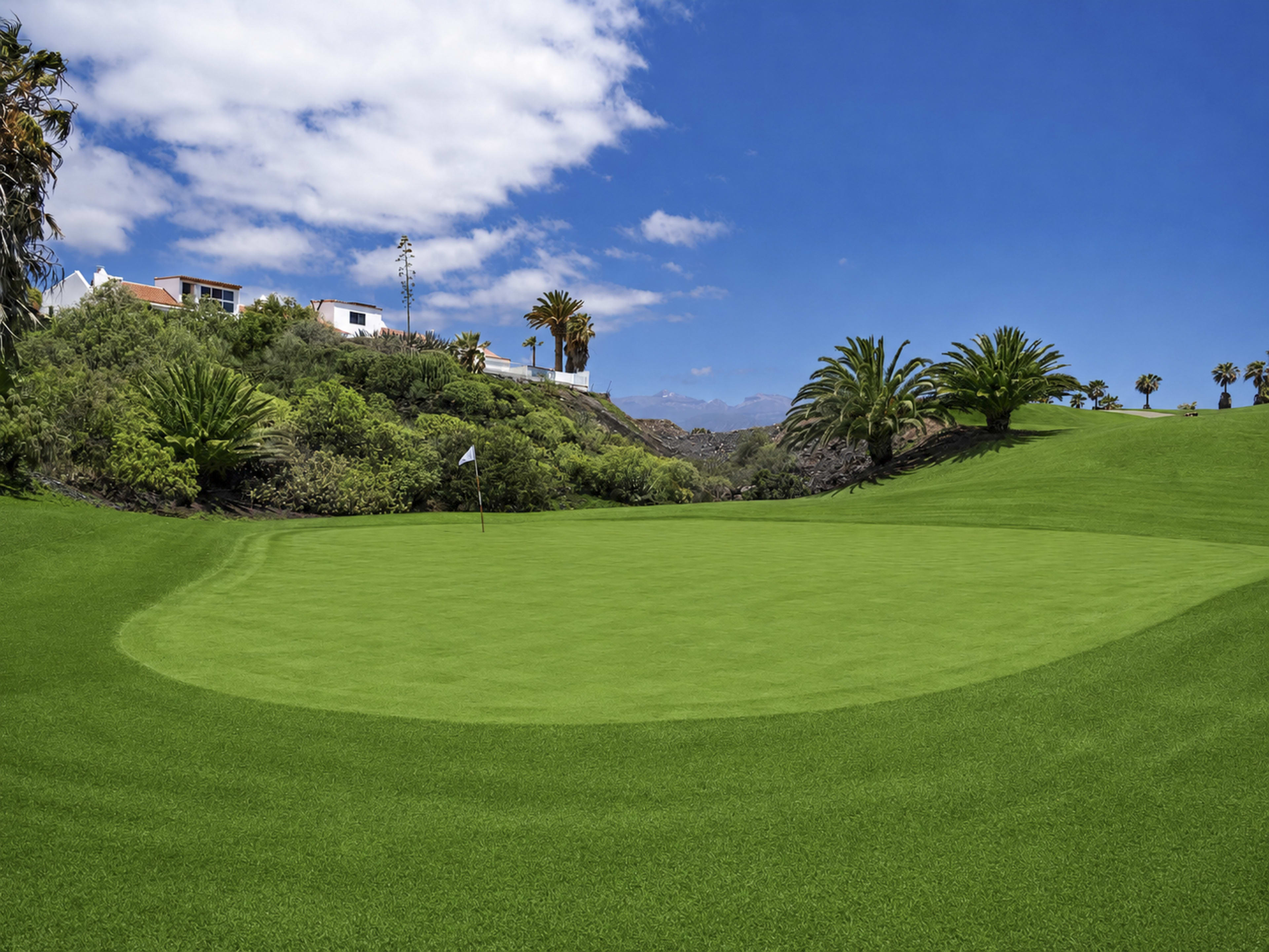 GOLFDELSUR09