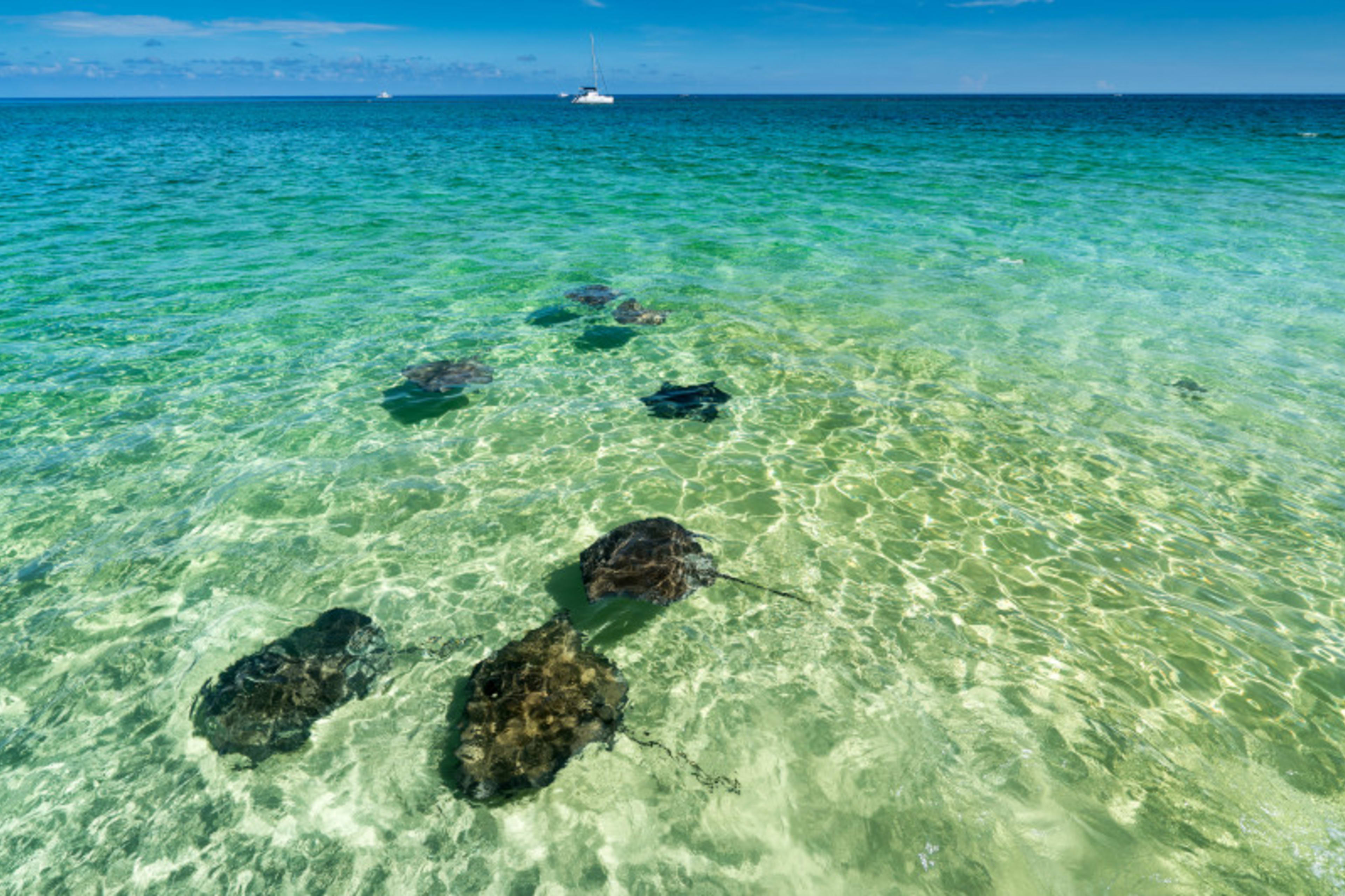 George_Town_Grand_Cayman (1)