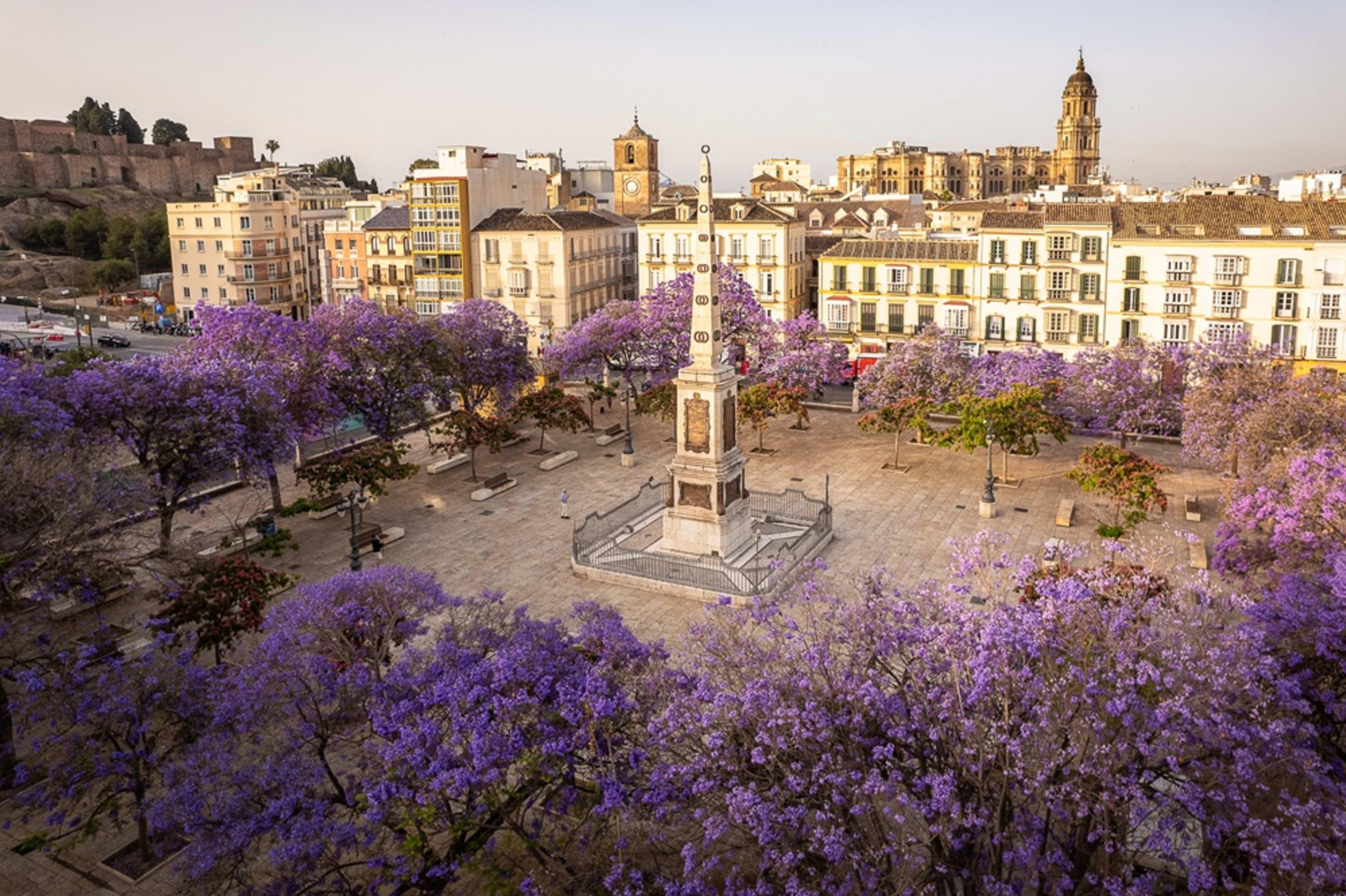 Malaga (19)
