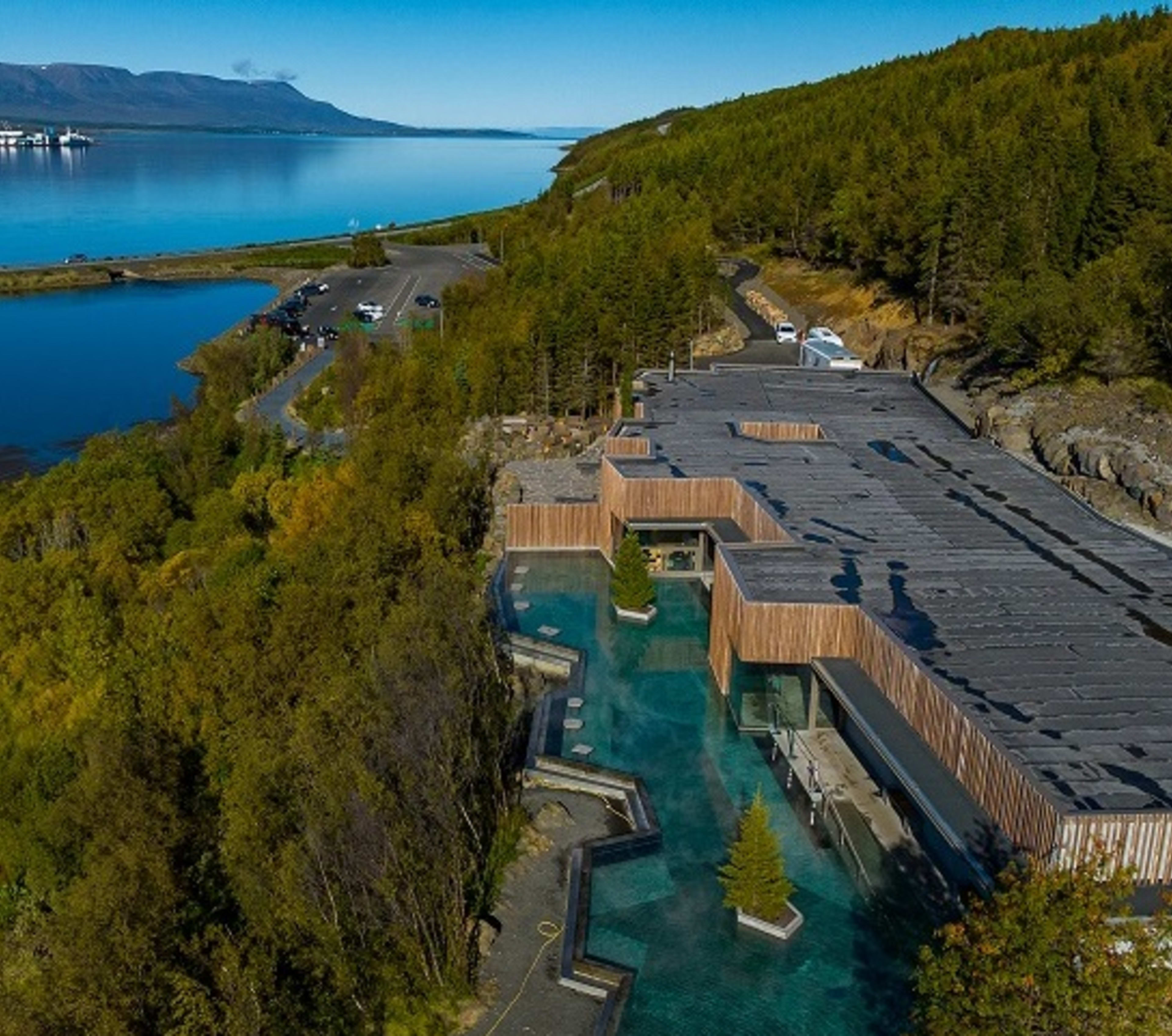 Forest Lagoon_Summer view
