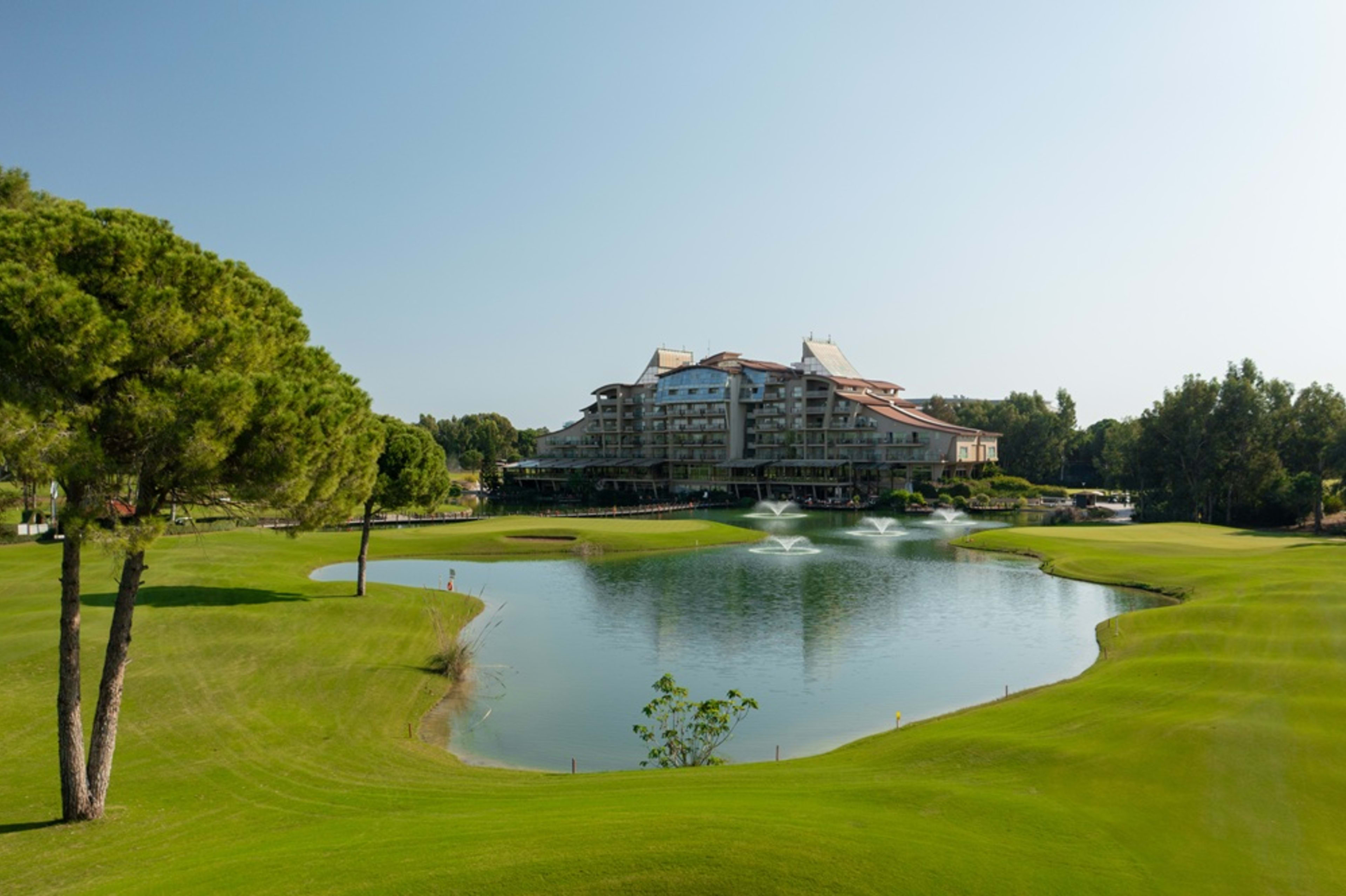 Sueno_golf (9)