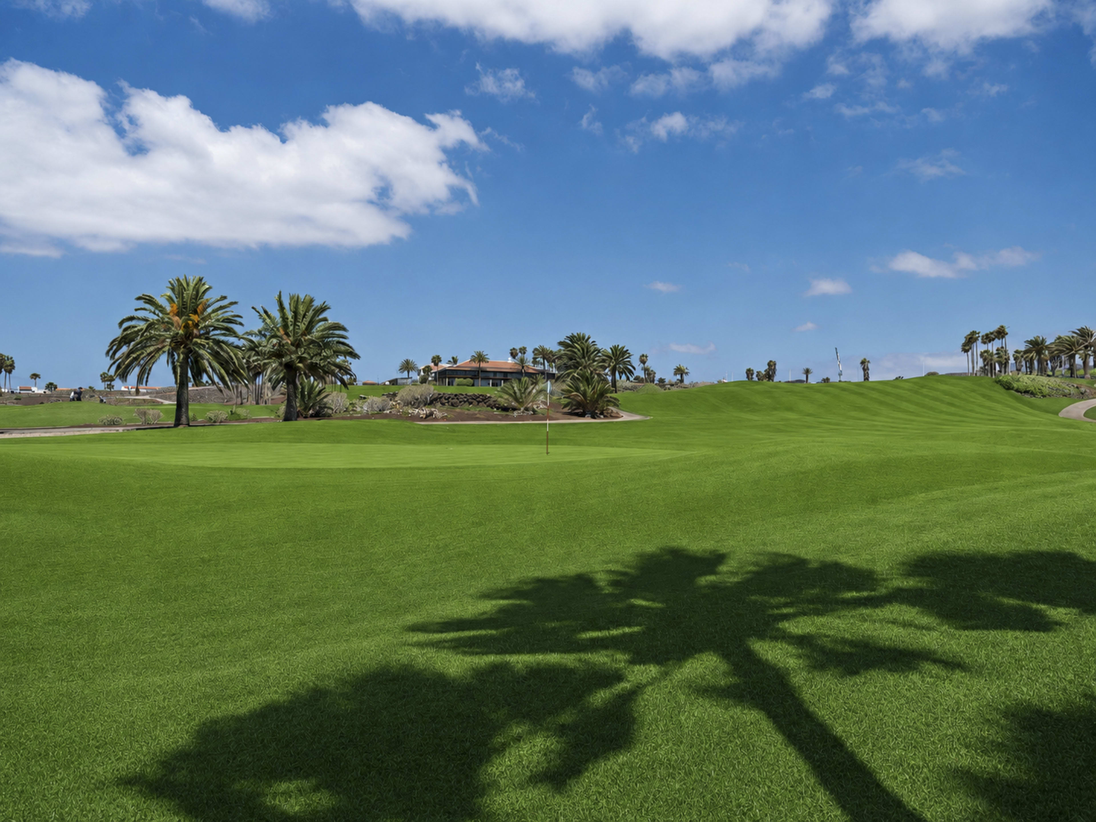 GOLFDELSUR07