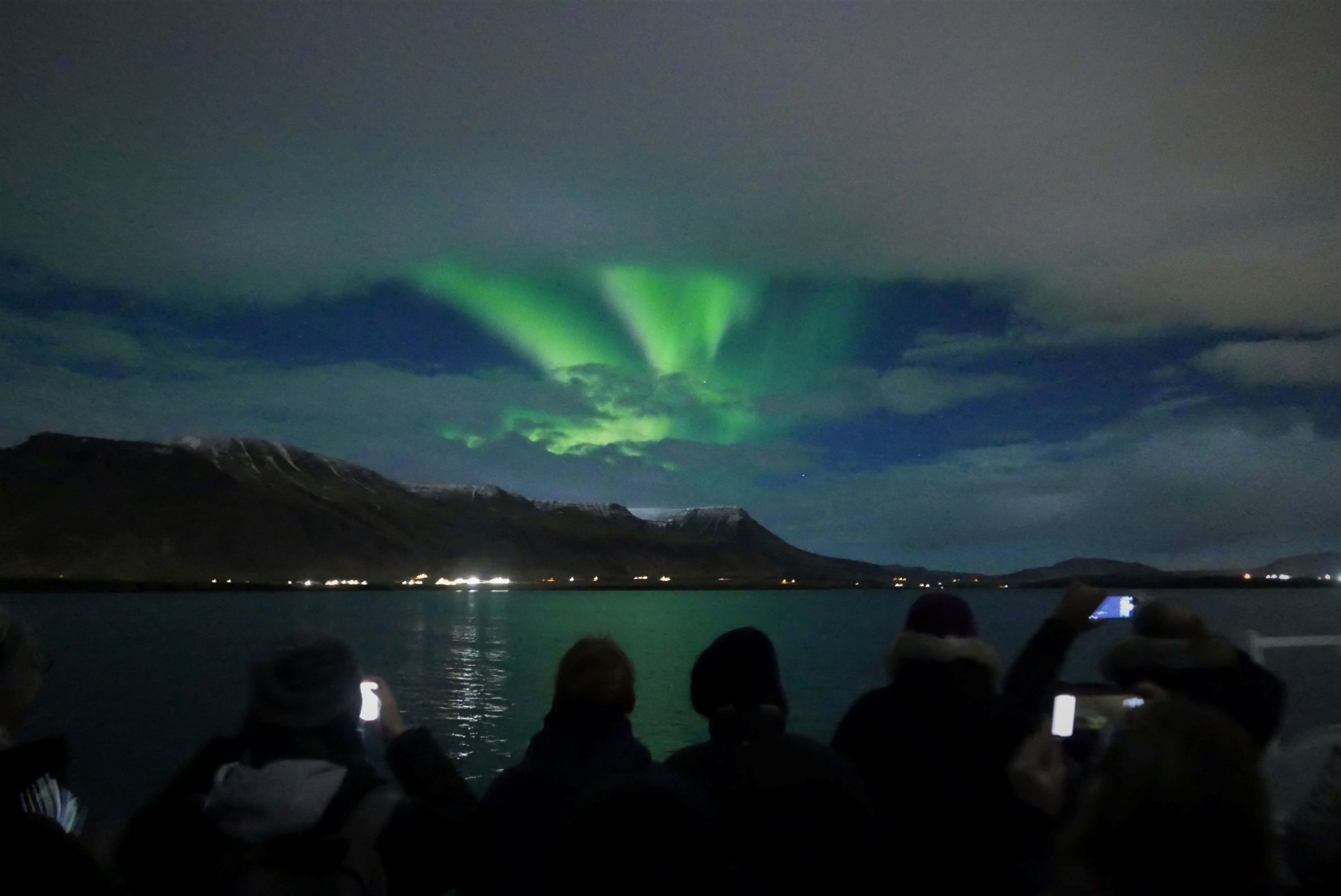 Special Tours - Northern Lights by Boat-2