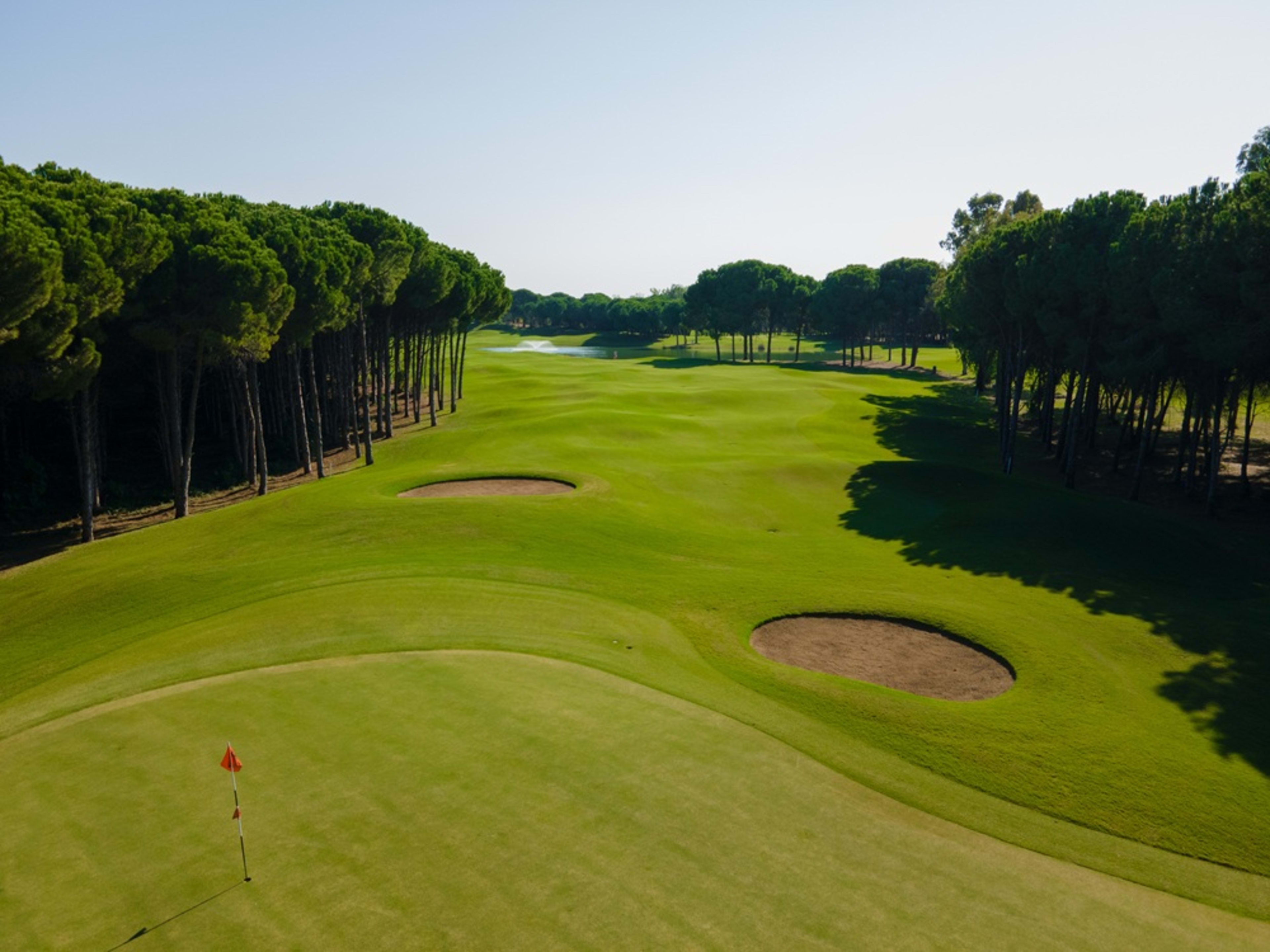 Sueno_golf (10)
