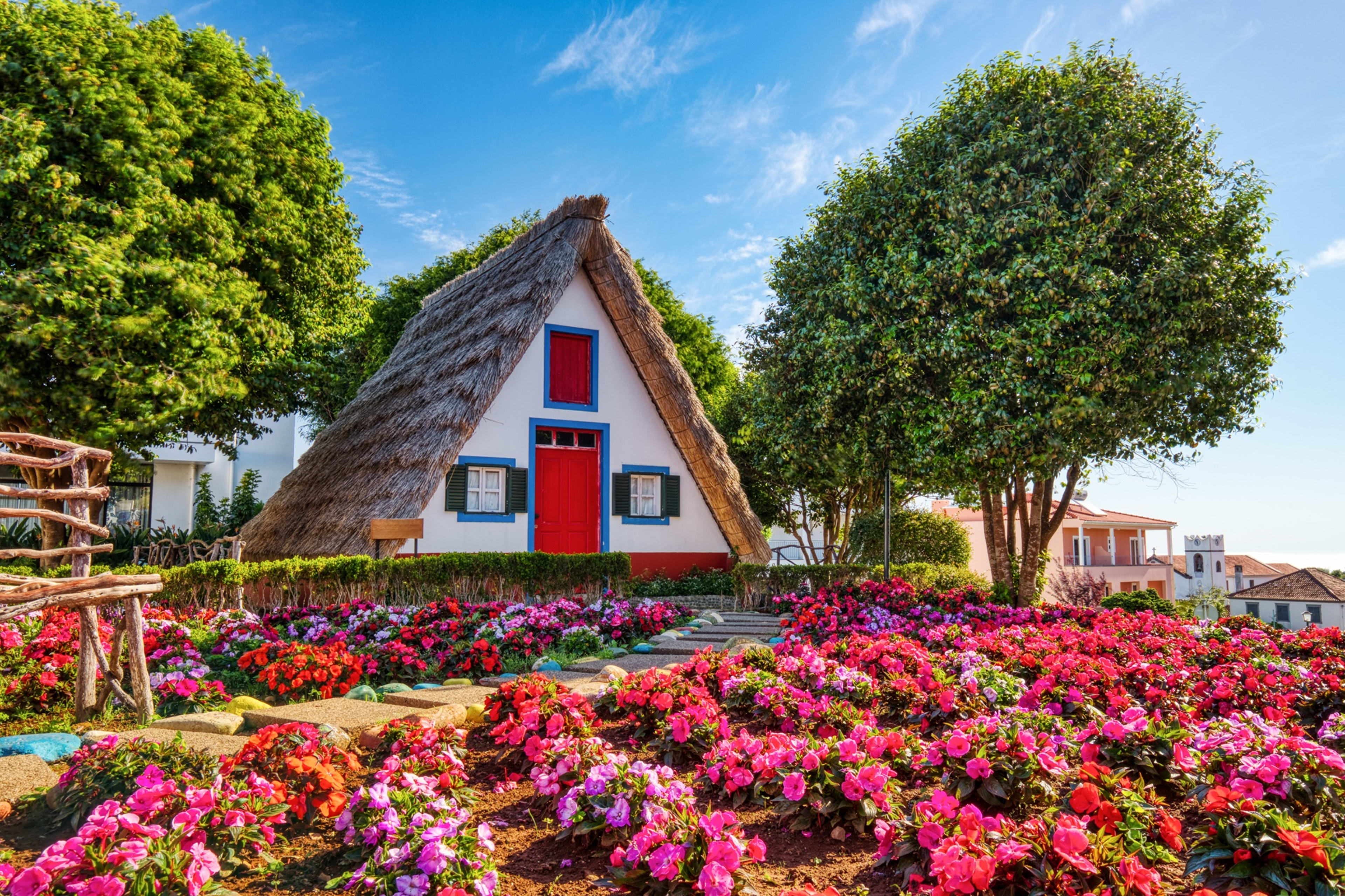 Madeira_almennt (7)