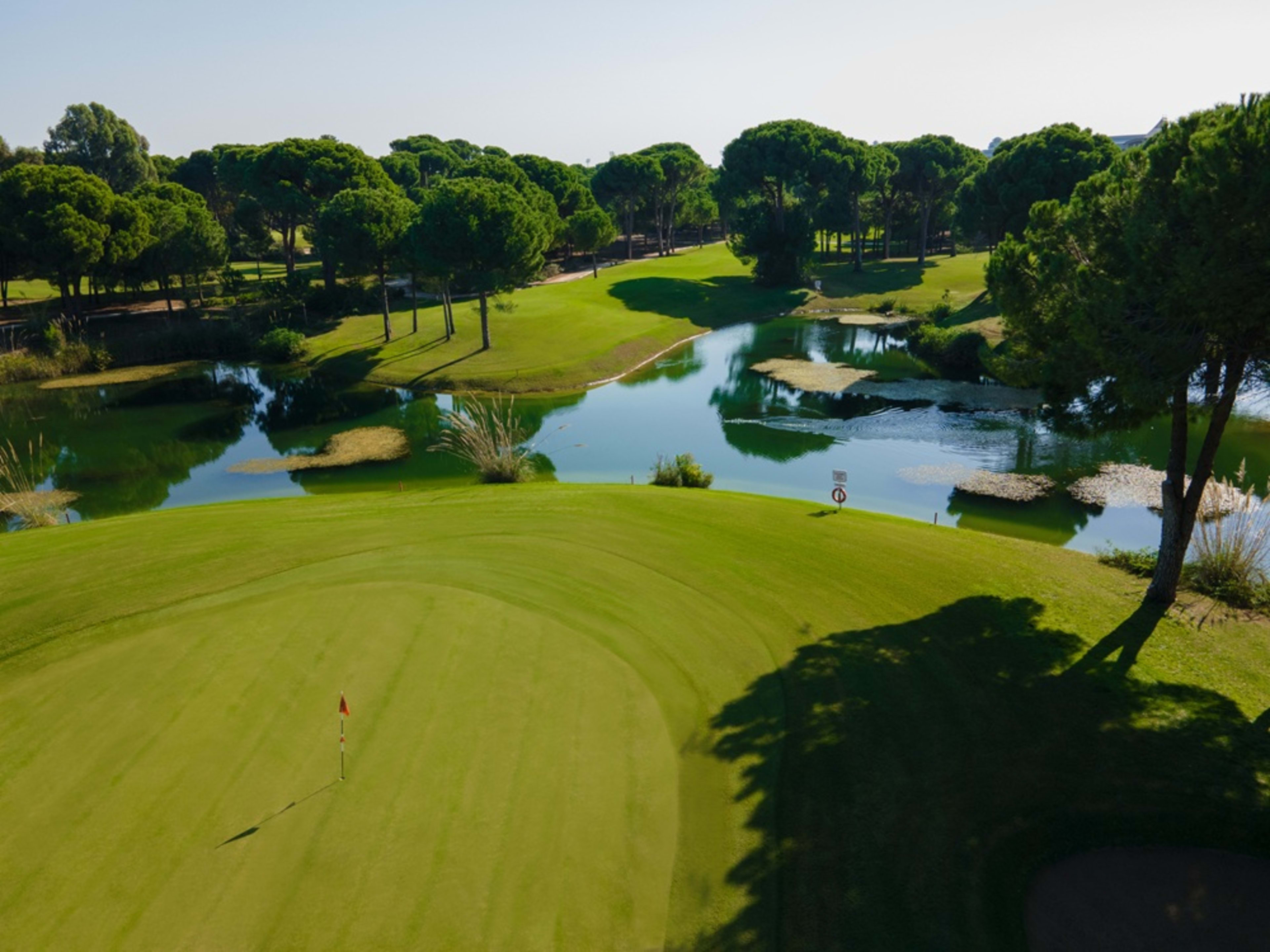 Sueno_golf (11)