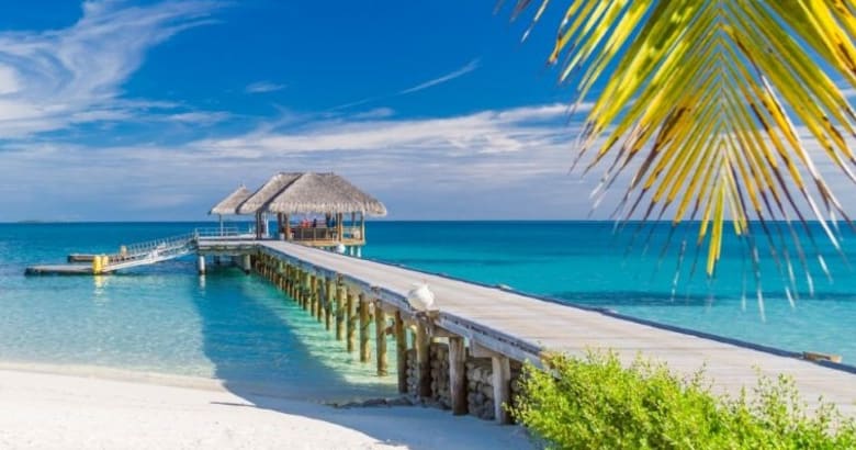 expedia_